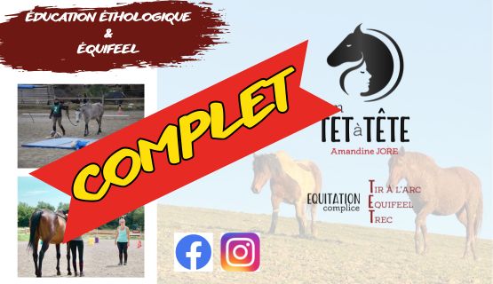 En TET à TETE Éducation éthologique équifeel