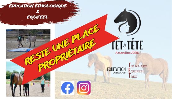 En TET à TETE Éducation éthologique équifeel